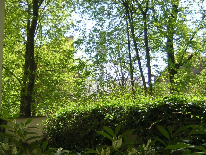 Hidden Gem with terrace/private park entrance  in Mitte — photo 1